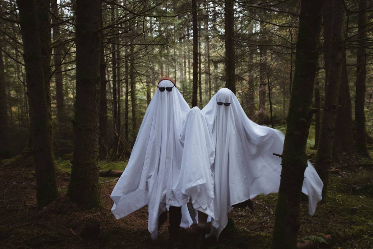 Ghost Life Paranormal Investigations: How to Master the Art of Digital Haunting in Horror Games