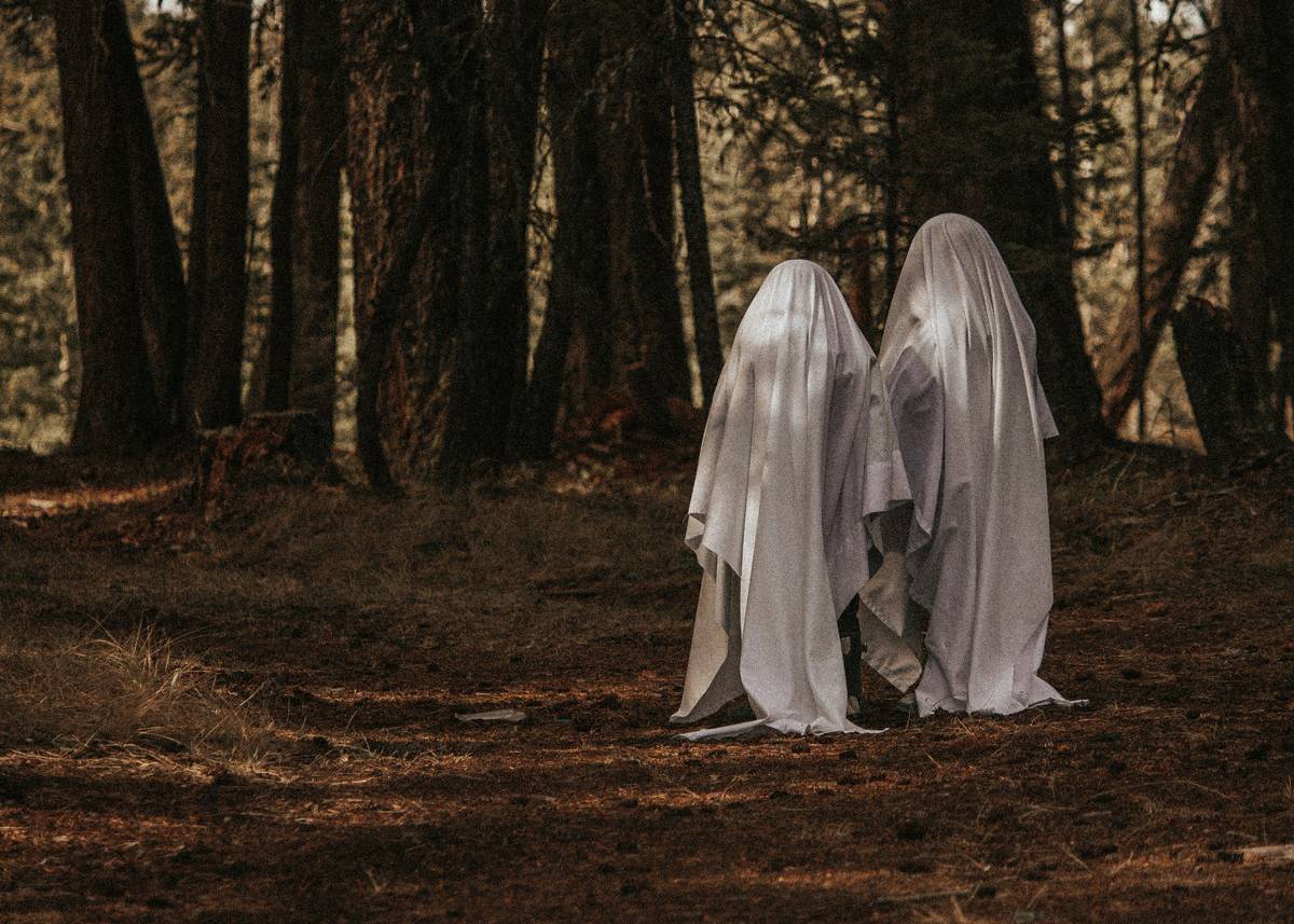 Paranormal Investigation Classes Online: Train Like a Ghost Hunter Without Leaving Your Couch