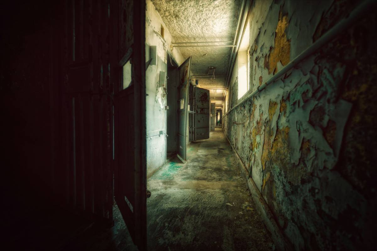 how to get crime investigation channel via horror game simulations with real forensic mechanics
